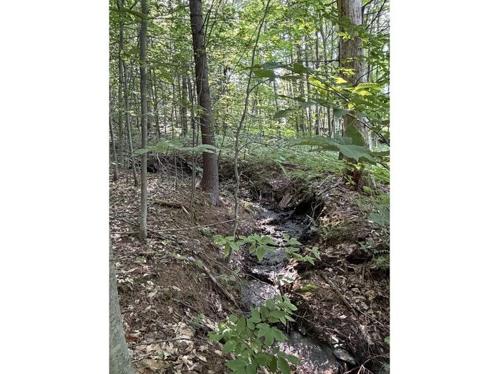 Property Photo:  0 Old Carriage Road  VT 05673 