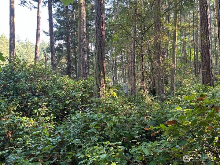 Property Photo: 135 Chinook Way WA 98221