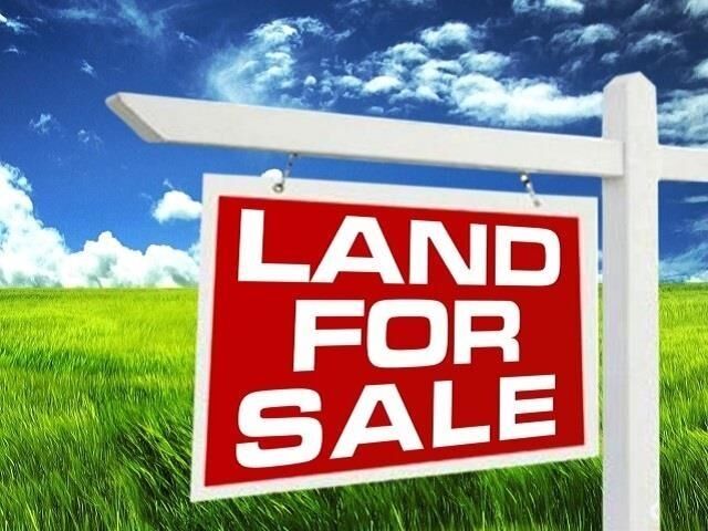Property Photo: 3595 Trenton Lane TX 77713