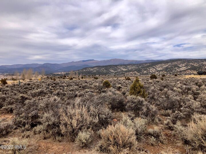 Property Photo:  1533 E Haystacker Drive  CO 81631 