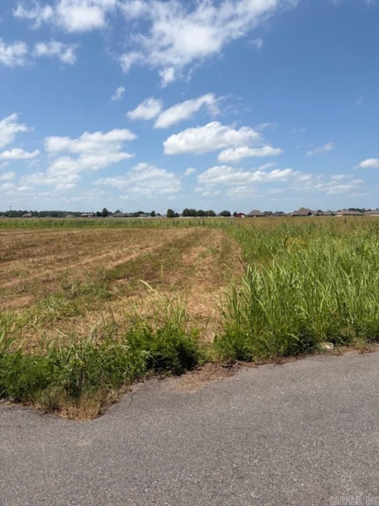 Property Photo: Lot 8 Upper Steel Bend Road AR 72142