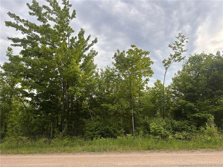 Property Photo:  Lot Tay Falls Road  NB E6L 2C6 