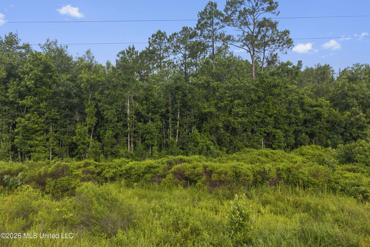 Property Photo: Spring Briar Trail MS 39574