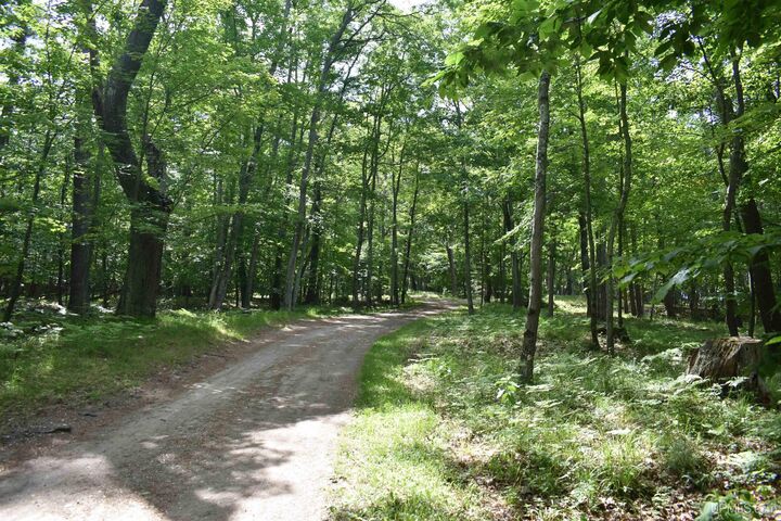 Property Photo:  Tbd Ll.5 Ln Beach  MI 49864 