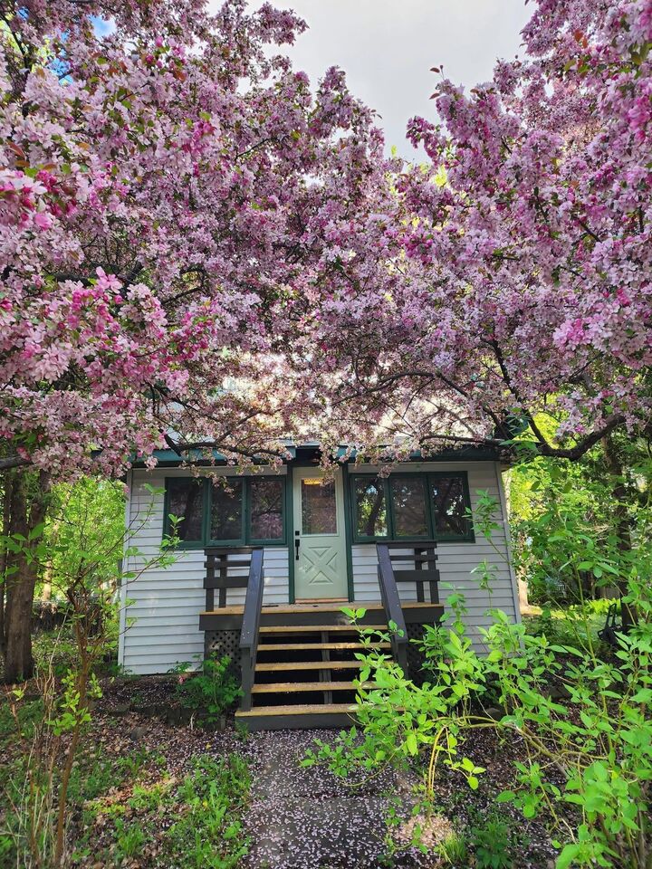 Property Photo: 6 4th Street NW MN 56334