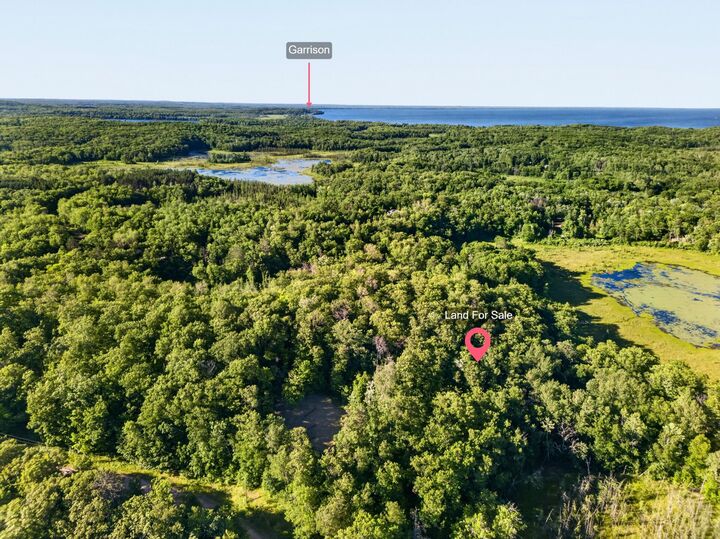Property Photo: Tbd Hickory Lane MN 56450