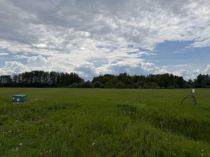 409 Spruce Point Estates Place — photo 1
