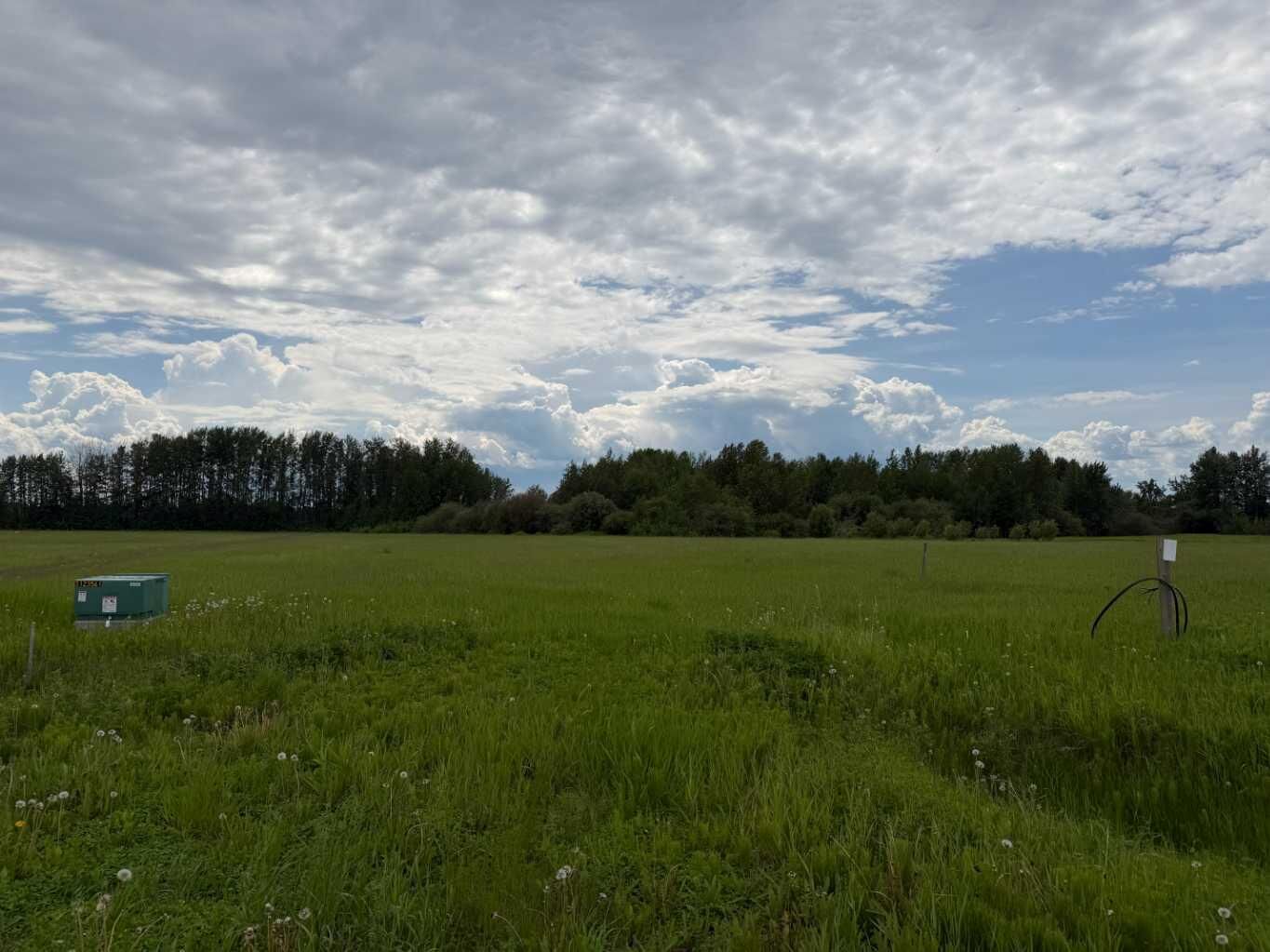 Property Photo:  409 Spruce Point Estates Place  AB T0G 2K0 