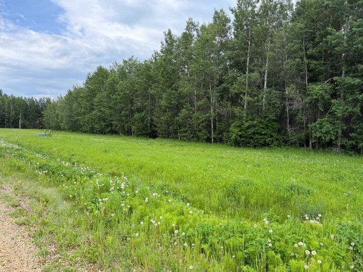 Property Photo:  5 Spruce Point Estates Road  AB T0G 2K0 