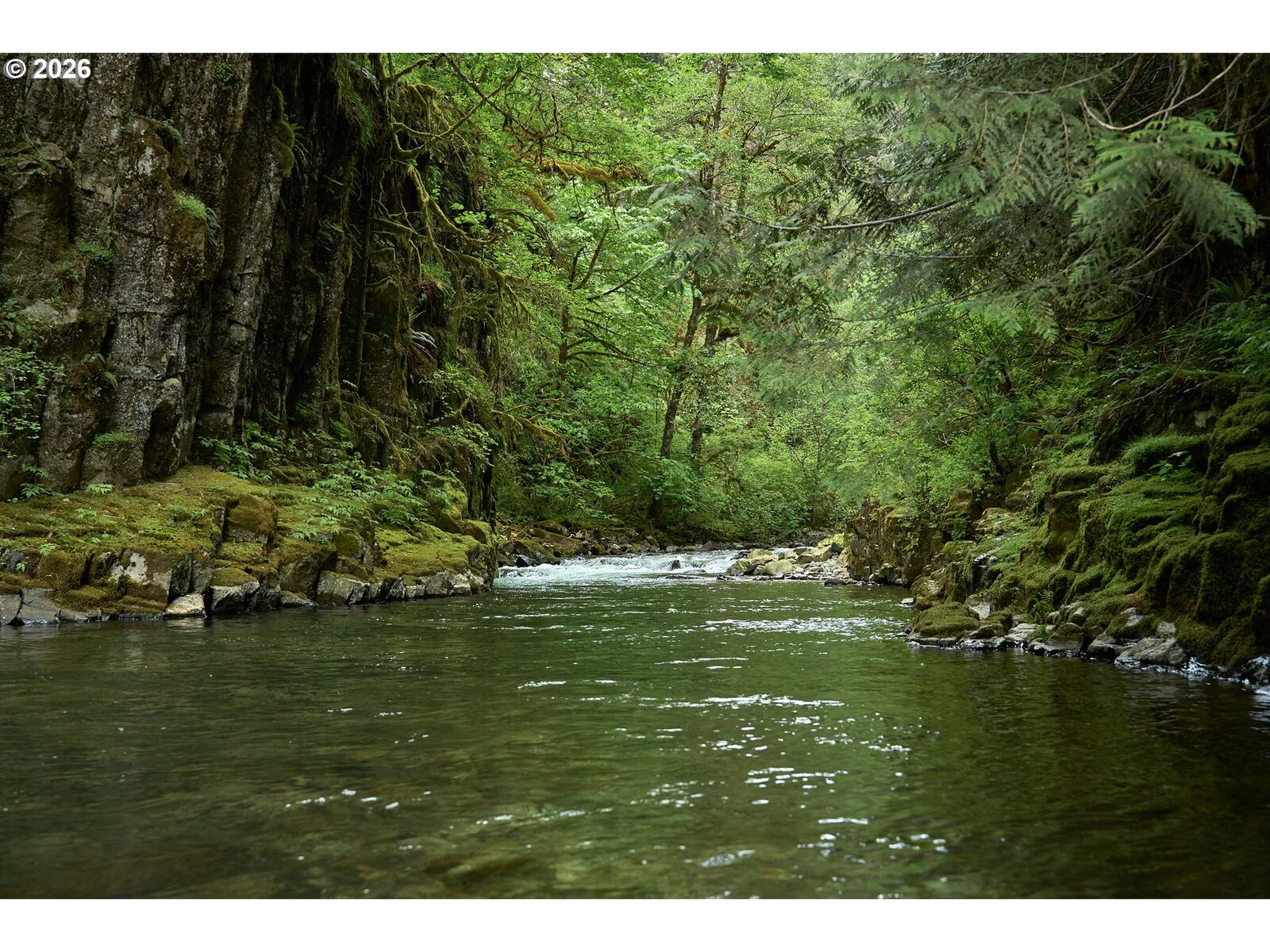 Property Photo:  1241 N Fork Rd  WA 98671 