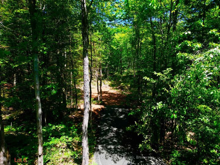 Lot 6 Fairy Falls Road — photo 1