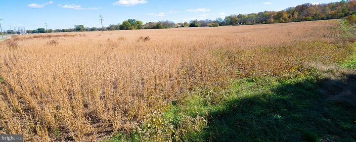 Property Photo:  25513 Tidewater Trail  VA 22535 