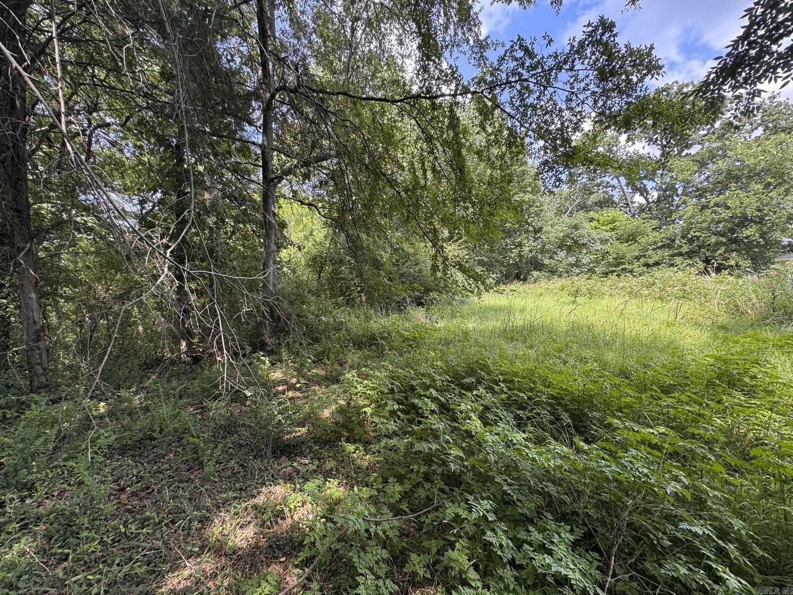 Property Photo:  000 N Montgomery Street  AR 72830 