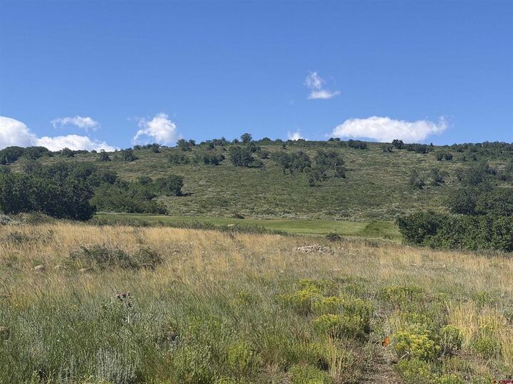 Property Photo: 813 Cornestone Loop CO 81403