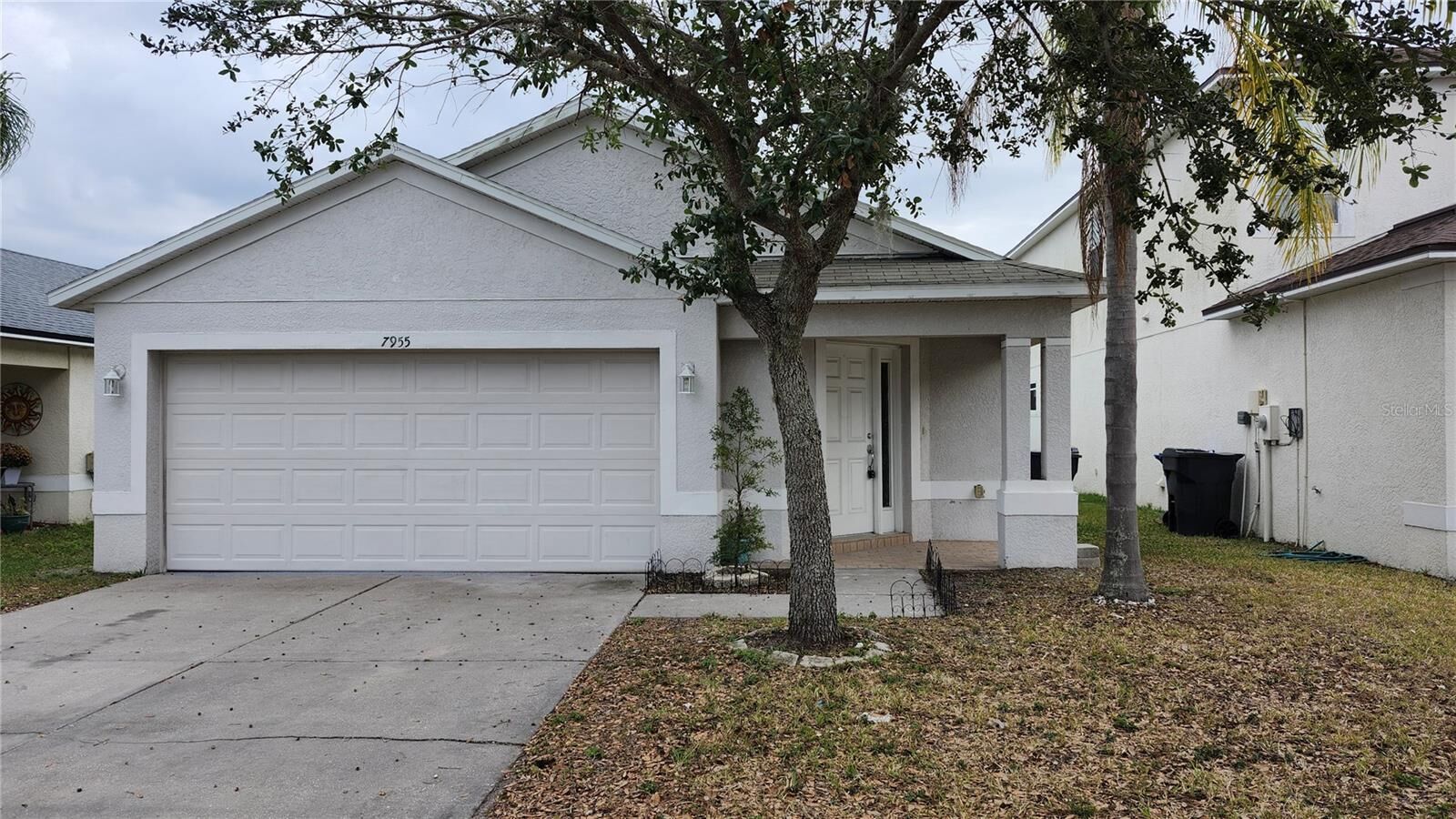Property Photo:  7955 Carriage Pointe Drive  FL 33534 