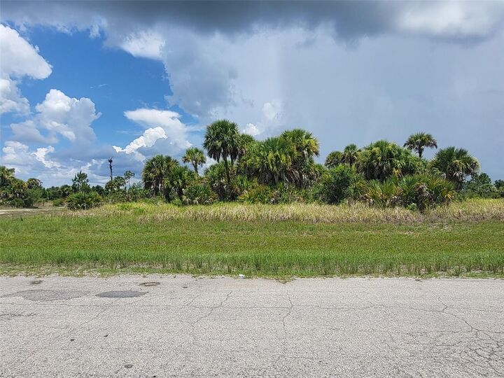 Property Photo:  Fielders Road  FL 34288 