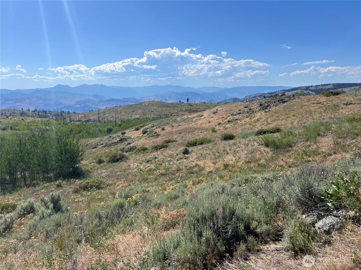 Property Photo: 0 Lot 12 Lone Spur Road WA 98844