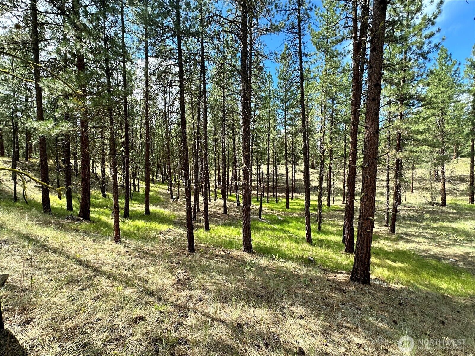 Property Photo: 67 Larkspur Drive WA 98862