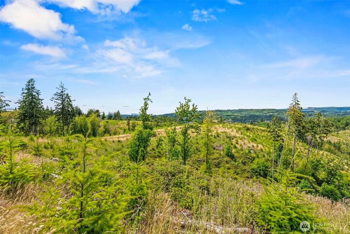 Property Photo:  0 Lot C  Holcomb Road  WA 98626 