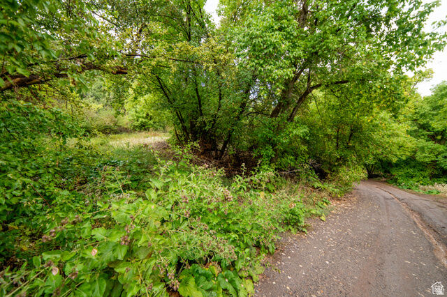 Property Photo: 1422 Basel Dr 115 UT 84049