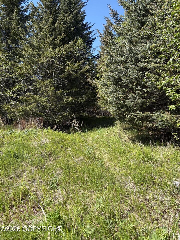 Property Photo: L3a Virginia Avenue AK 99603