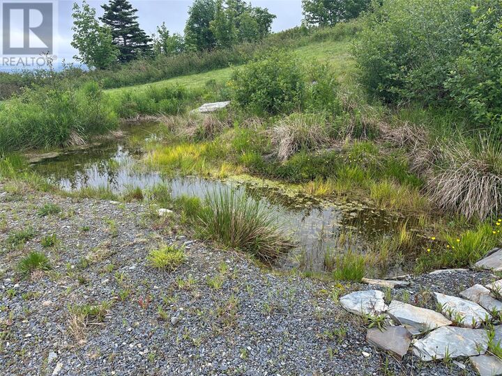 Property Photo:  71 Flatrock Road  NL A1Y 1C6 