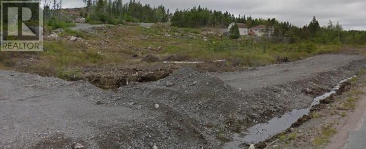Property Photo:  60 Country Path Road  NL A0A 2R0 
