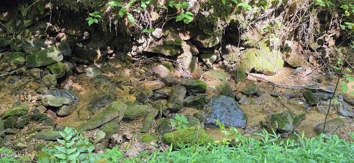 Property Photo:  Lot 16 Black Walnut Flats Rd  TN 37862 
