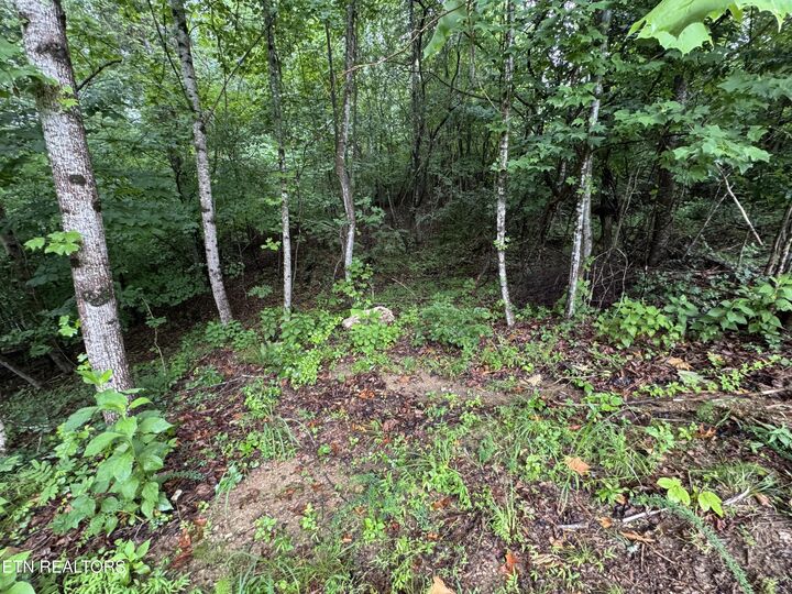 Property Photo: 0 Evergreen Cove Lot 5 St TN 37763