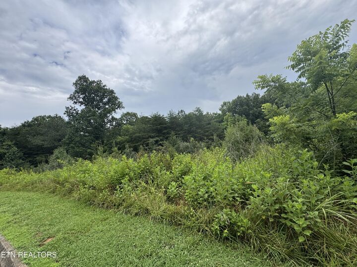 Property Photo: Lot 2 Malea Lane TN 37763