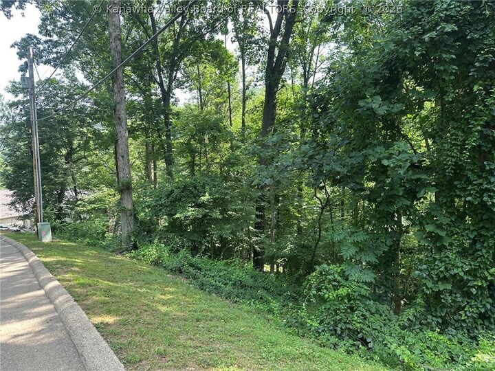Property Photo: 0 Country Cove Estates WV 25560