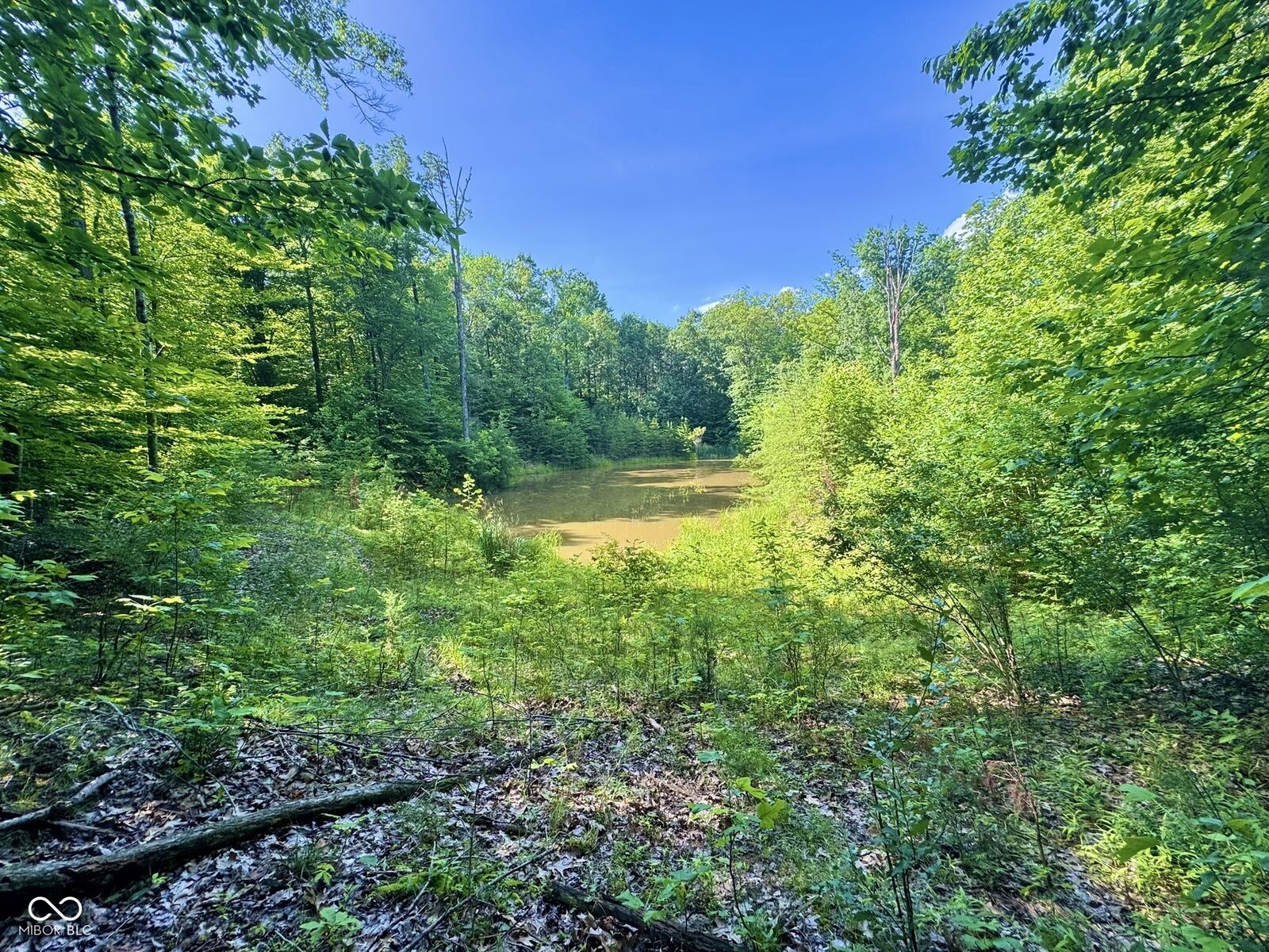 Property Photo:  5578 E Nebo Country Drive  IN 46151 