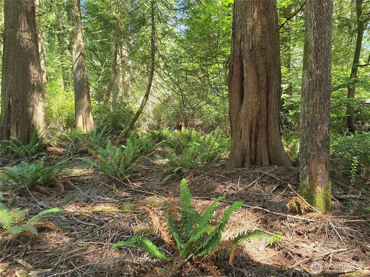 Property Photo: 133 E Barnacle Boulevard WA 98584