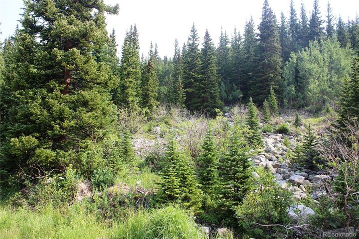 Property Photo:  01 Miners Road  CO 80461 