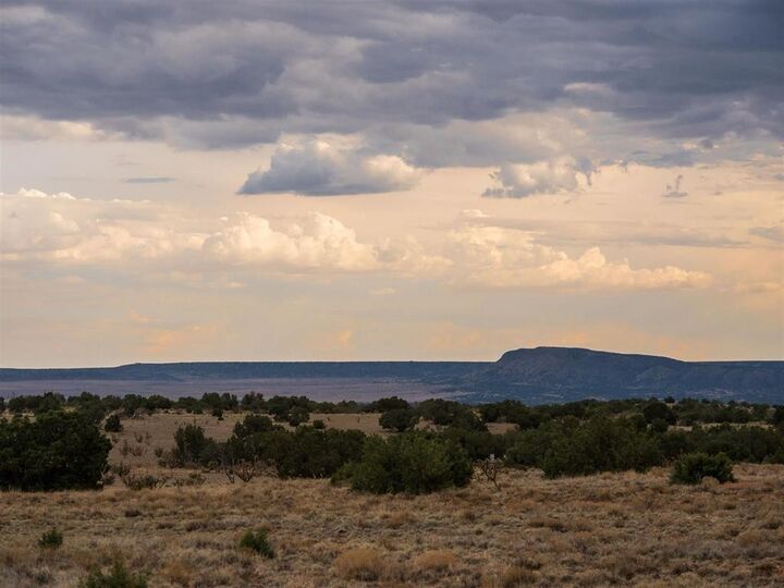 Property Photo: 345 New Moon Overlook Road NM 87540