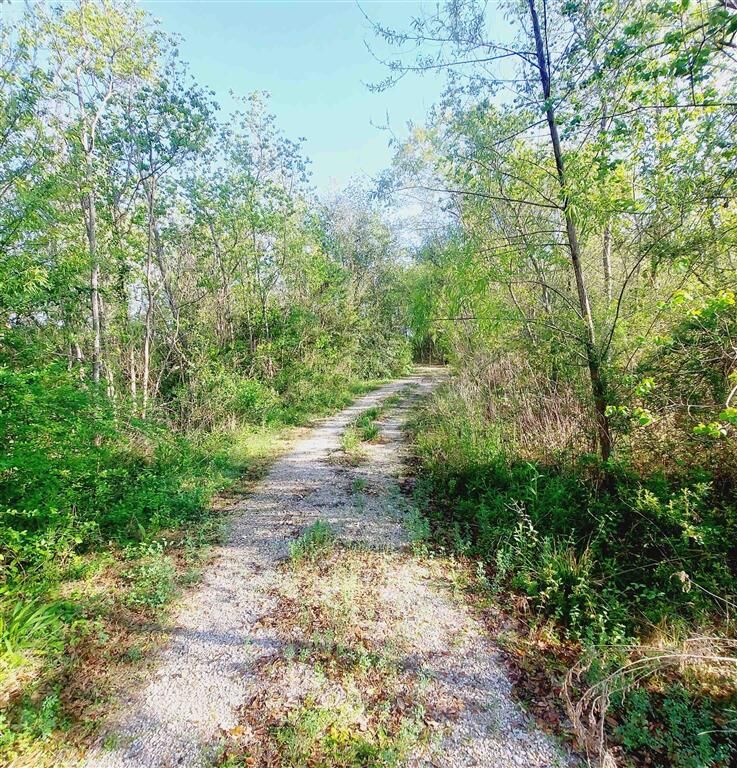 Property Photo:  586 Big Pasture Road  LA  