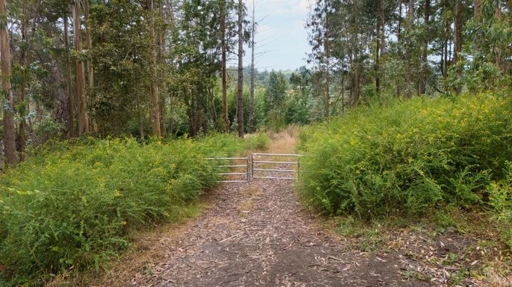 Property Photo:  2750 Burnside Road  CA 95472 