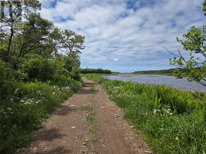 Property Photo:  0 Crabbs River Road  NL A0N 1Z0 