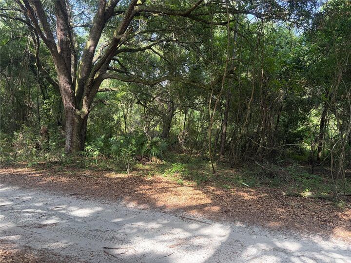 Property Photo: 0000 Cr 738 FL 33597