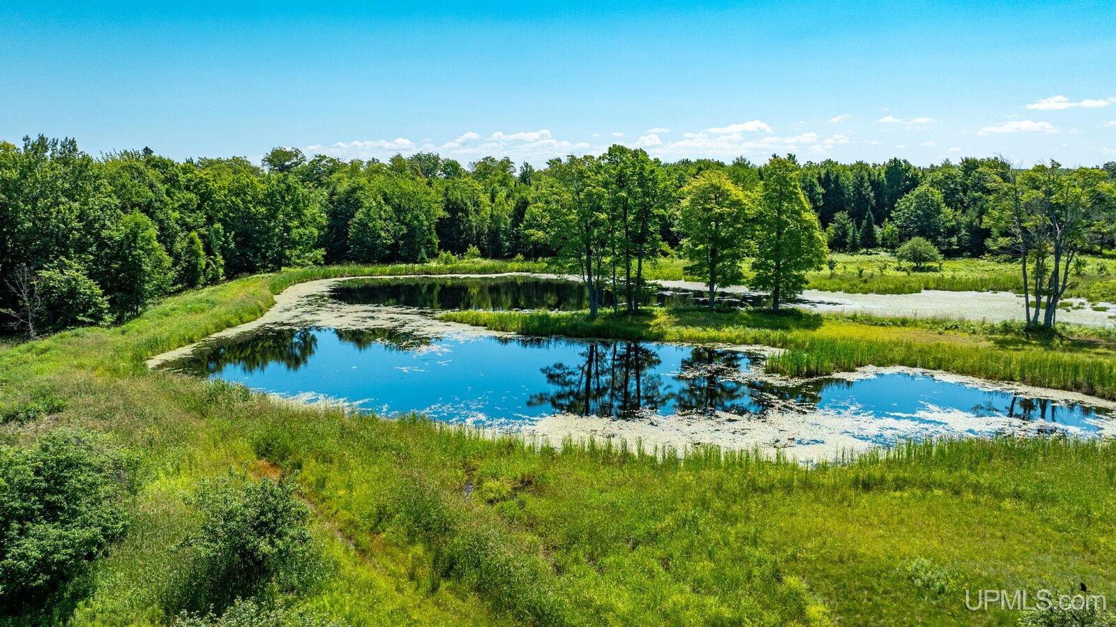 Property Photo:  Tbd Bellaire Road  MI 49958 