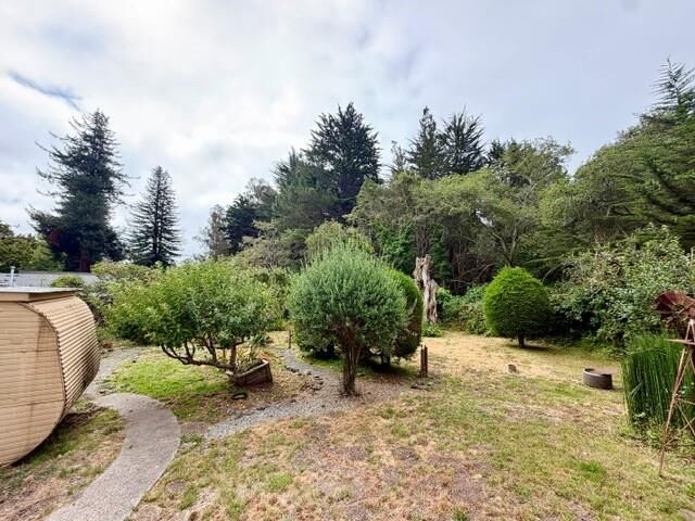 Property Photo:  905 Pinetree Lane  CA 95003 