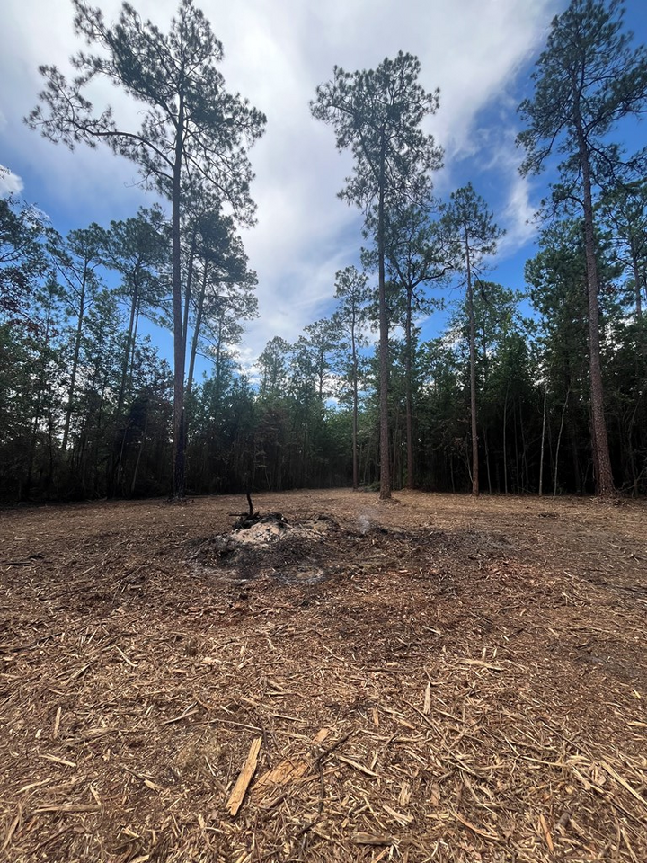 Property Photo:  00 Sanford Road (3 Acres)  GA 31757 