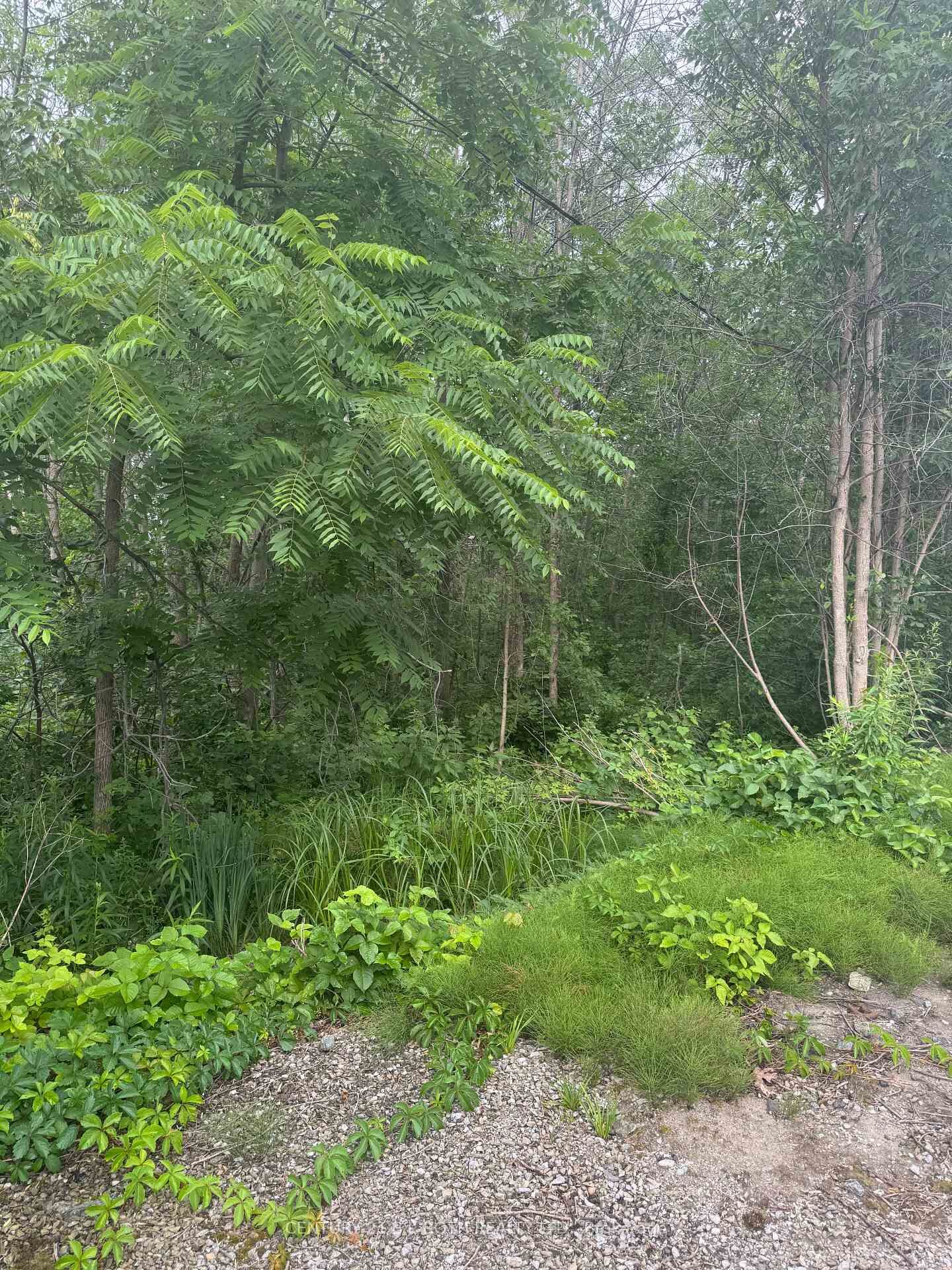 Property Photo:  3330 Quetton Street  ON L0K 2B0 