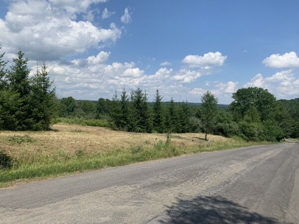 Property Photo:  143 Swift Road 3  NY 13905 