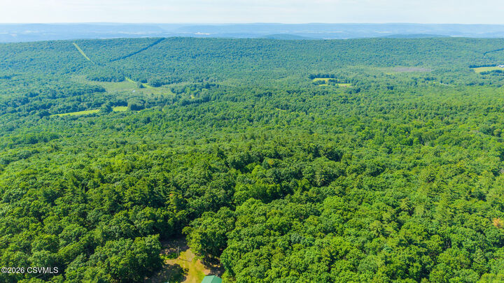 Property Photo: Hickory Lane PA 18655