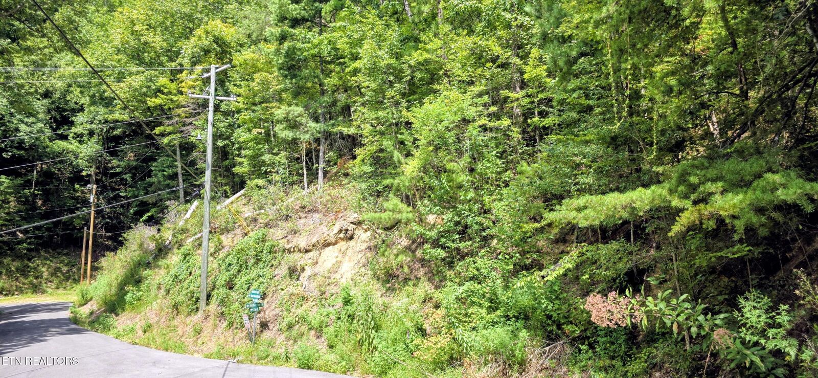 Property Photo:  Lot 1 Black Walnut Flats Rd  TN 37862 