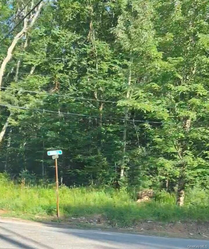 Property Photo:  143 Mountaindale Road  NY 12435 