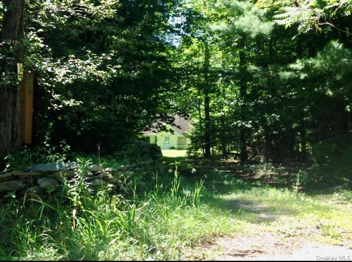 Property Photo: 143 Mountaindale Road NY 12435