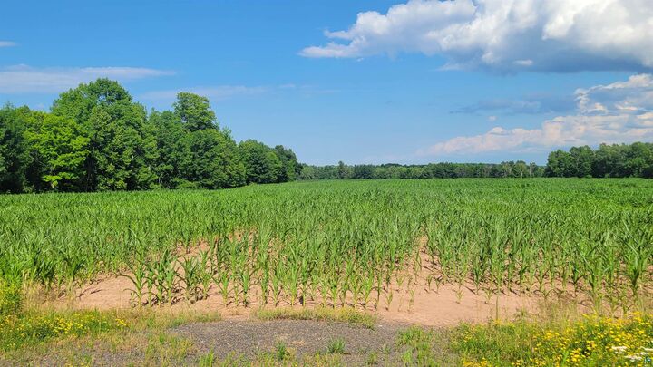 Property Photo:  609xx County Hwy E  WI 54856 