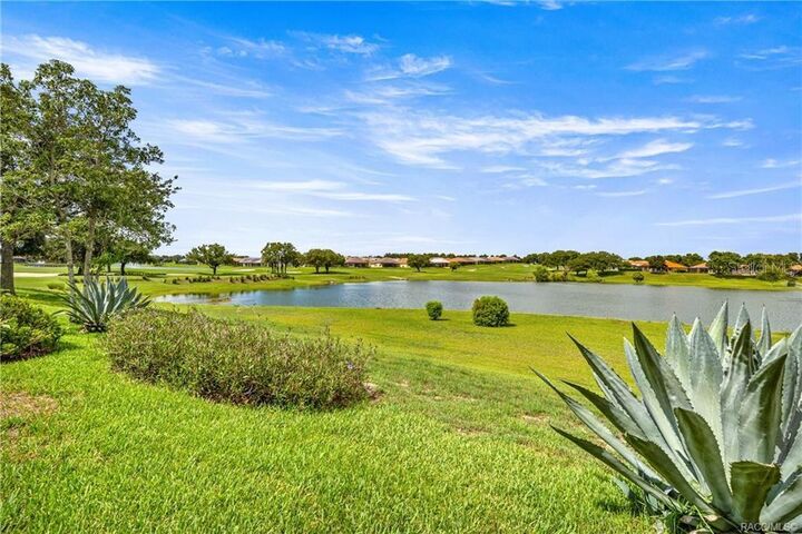 Property Photo:  1328 W Diamond Shore Loop  FL 34442 